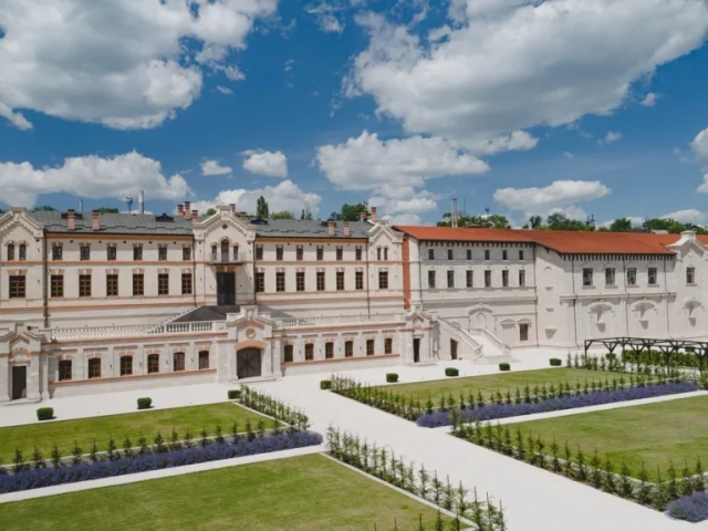 Castel-Mimi-graphic-design