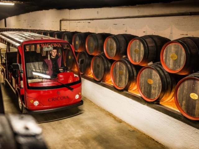 RD8_7740-scaled-1-1536x1025