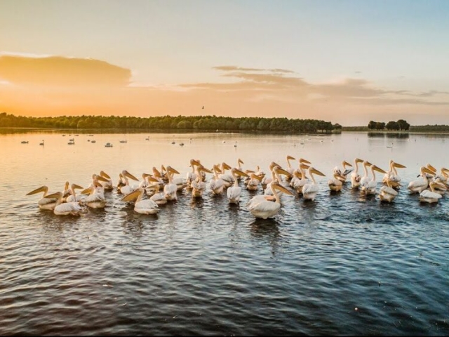 lacul-beleu-e1691850375187