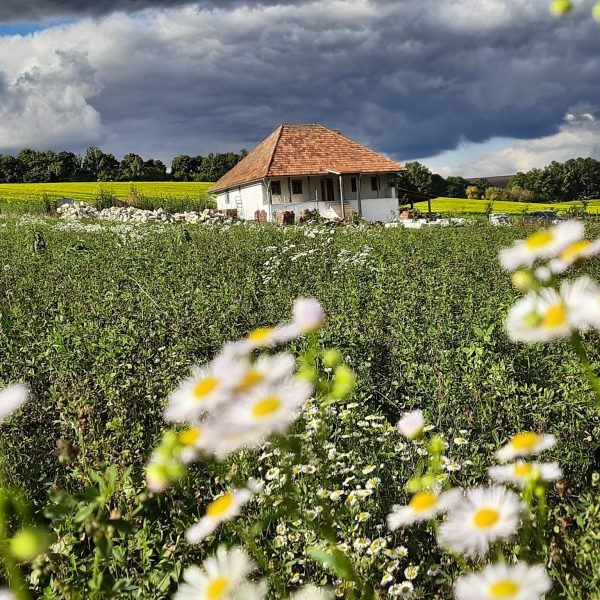 311458815_5784971224899882_4093784988434743569_n