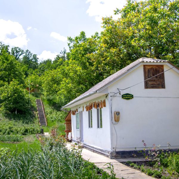 Casa-rurala-Albinuta