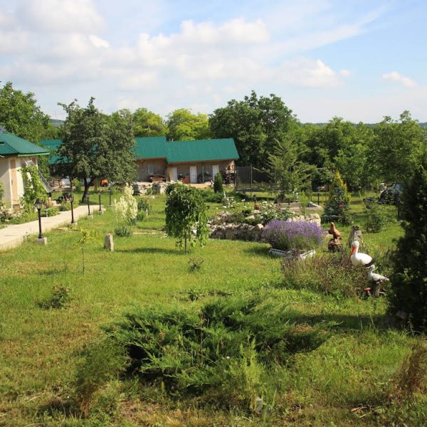 Processed with VSCO with ss1 preset